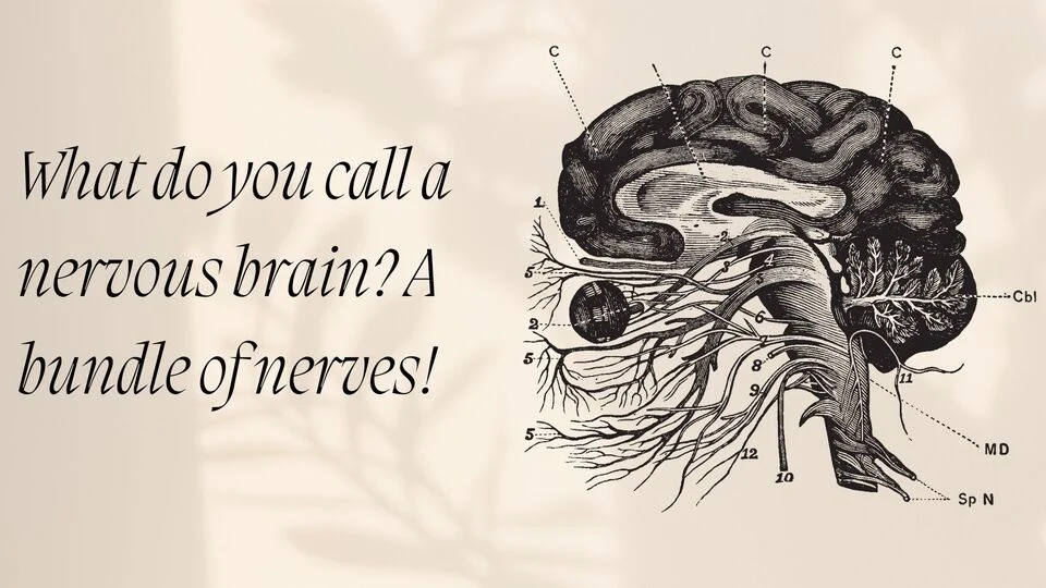 Best Brain Jokes