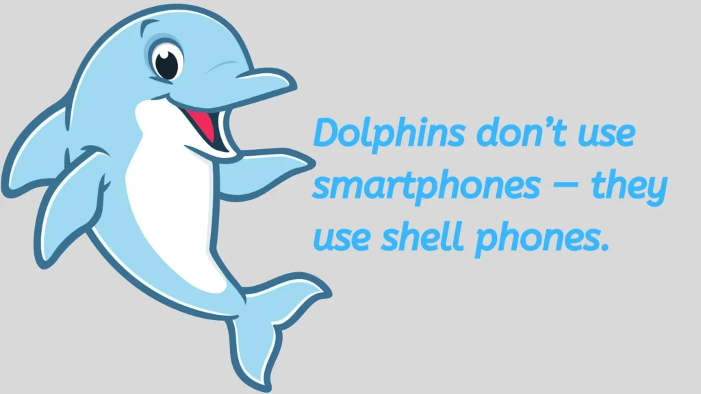 Best Dolphin Jokes