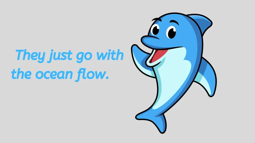 Dolphin Jokes Reddit