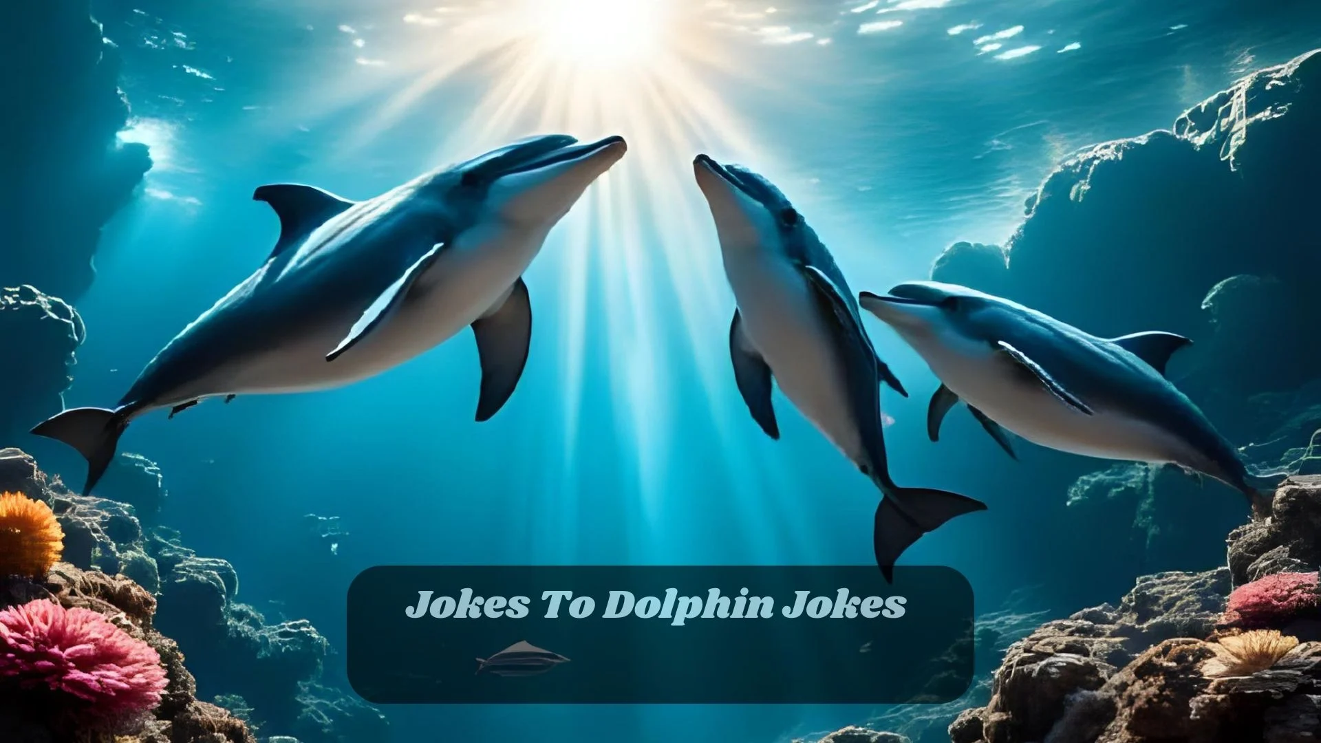 You are currently viewing Jokes To Dolphin Jokes  | 214 That’ll Make a Splash in 2025<div class="last-updated" style="font-size:14px; font-weight:bold; color:#444; background:#f5f5f5; padding:10px; border-radius:5px; margin-top:10px; margin-bottom:20px;">
                 Last updated: August 16, 2025 at 4:48 am by official.msgzi@gmail.com
            </div>