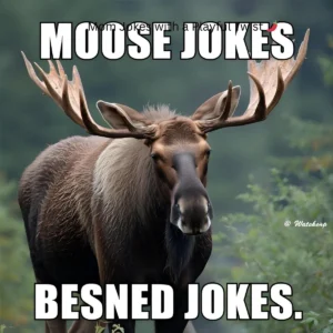 Read more about the article 220+ Moose Jokes 🦌😂 – A Wild Collection of Antler-Tainment For 2025<div class="last-updated" style="font-size:14px; font-weight:bold; color:#444; background:#f5f5f5; padding:10px; border-radius:5px; margin-top:10px; margin-bottom:20px;">
                 Last updated: September 16, 2025 at 2:54 pm by official.msgzi@gmail.com
            </div>