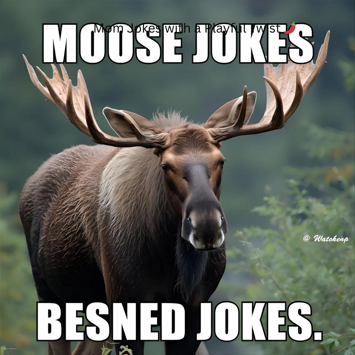 You are currently viewing 220+ Moose Jokes 🦌😂 – A Wild Collection of Antler-Tainment For 2025<div class="last-updated" style="font-size:14px; font-weight:bold; color:#444; background:#f5f5f5; padding:10px; border-radius:5px; margin-top:10px; margin-bottom:20px;">
                 Last updated: September 16, 2025 at 2:54 pm by official.msgzi@gmail.com
            </div>